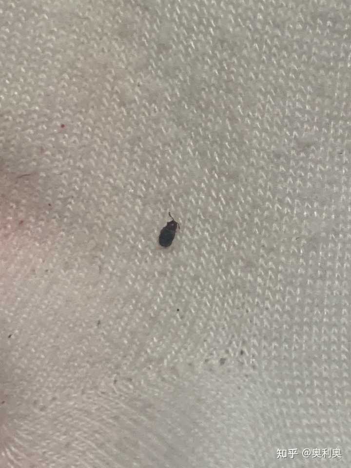 第286页