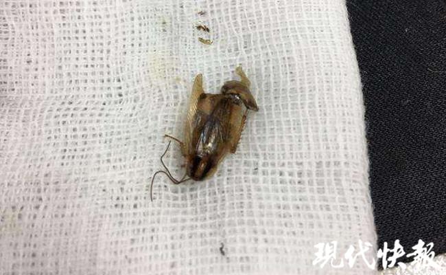 第269页